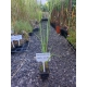TRAWA ROZPLENICA Red Head - sadzonki 30 / 50 cm