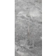 JESION WYNIOSŁY miododajny - sadzonki 80 / 120 cm