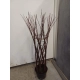 WIERZBA pleciona Pakiet 10 sztuk - sadzonki 120 / 150 cm
