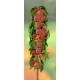 BRZOSKWINIA HARNAŚ kolumnowa - sadzonki 120 / 140 cm