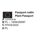 LAWENDA polska odmiana wieloletnia P9 - sadzonki 10 / 20 cm