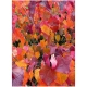 JUDASZOWIEC KANADYJSKI SZCZEPIONY Forest Pansy purpurowy - sadzonki 90 / 110 cm