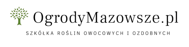 Zam&oacute;wienie elektroniczne (on-line)