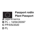 LAGERSTROEMIA na pniu biała - kremowa bez południa - sadzonki 80 / 110 cm