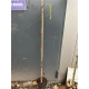 FIGA NA PNIU - sadzonki 120 / 140 cm
