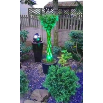 WIERZBA PLECIONA RĘCZNIE przycięta sadzonki - 90 / 100 cm