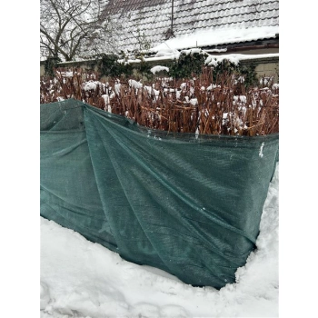 WIERZBA PLECIONA RĘCZNIE przycięta sadzonki - 90 / 100 cm