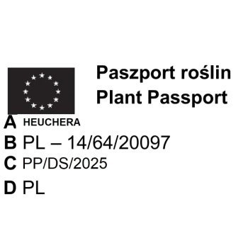 ŻURAWKA WILD BERRY - sadzonki 10 / 20 cm